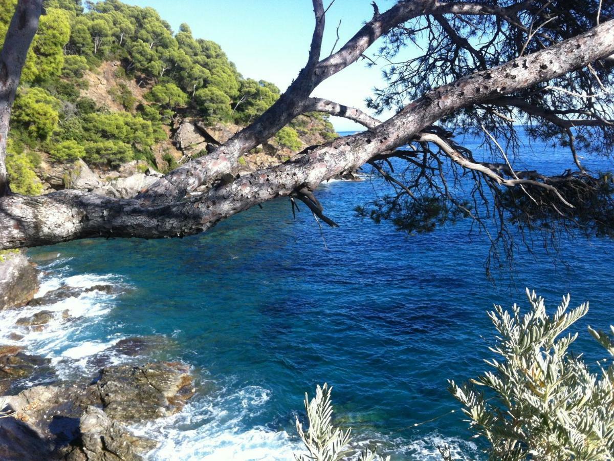 Villa De Vacances Au Calme Proche De La Mer ラ・ロンド・レ・モール エクステリア 写真